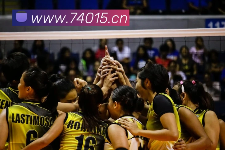 mksports直播平台生态图