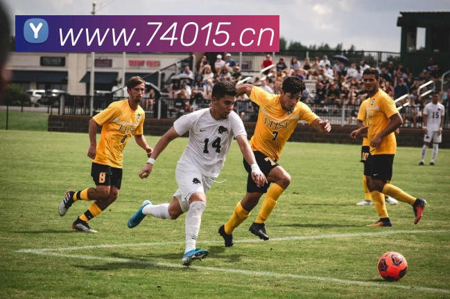 数据防护可视化